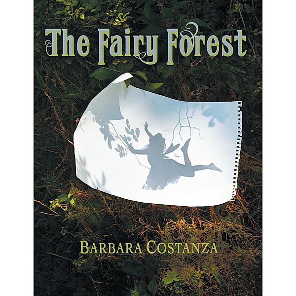 The Fairy Forest, Barbara Costanza