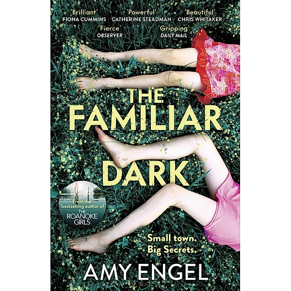 The Familiar Dark, Amy Engel
