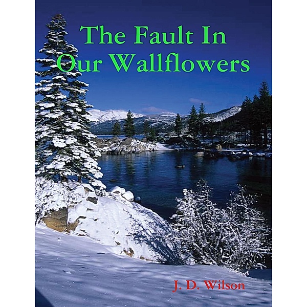 The Fault In Our Wallflowers, J. D. Wilson
