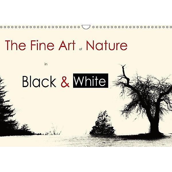 The Fine Art of Nature in Black & White / UK-Version (Wall Calendar 2017 DIN A3 Landscape), Ellin Pollachek