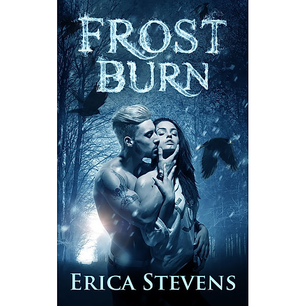 The Fire and Ice: Frost Burn (The Fire and Ice Series, Book 1), Erica Stevens