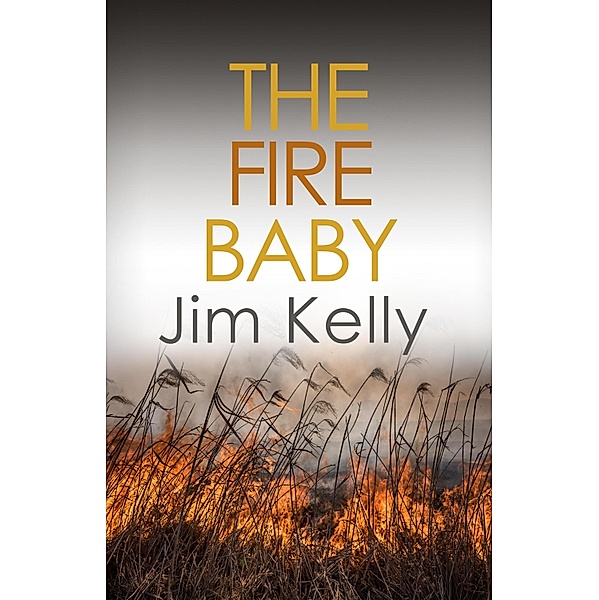The Fire Baby / Dryden Mysteries Bd.2, Jim Kelly
