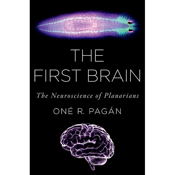 The First Brain, On? R. Pag?n