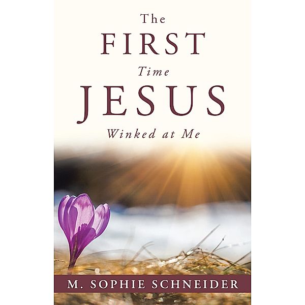 The First Time Jesus Winked at Me, M. Sophie Schneider