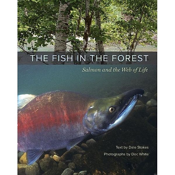 The Fish in the Forest, Dale Stokes