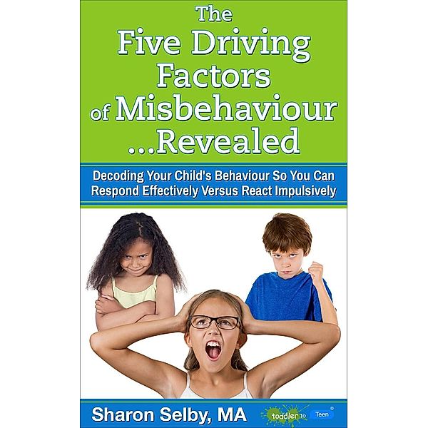 The Five Driving Factors of Misbehaviour Revealed, Sharon Selby