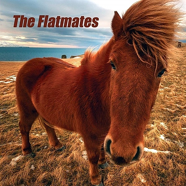 The Flatmates (Vinyl), The Flatmates