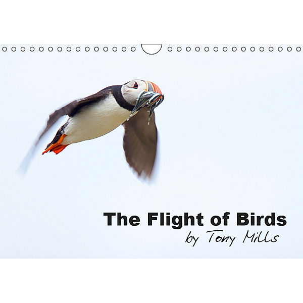 The Flight of Birds by Tony Mills (Wall Calendar 2019 DIN A4 Landscape), Tony Mills