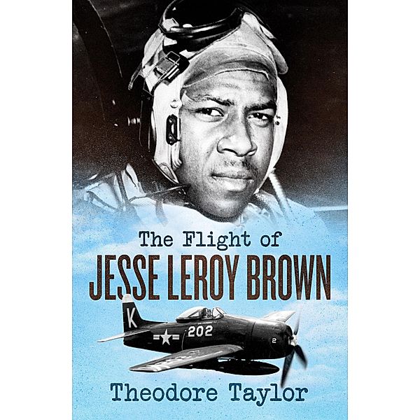 The Flight of Jesse Leroy Brown, Theodore Taylor