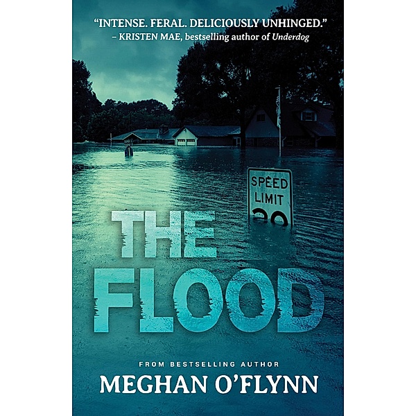 The Flood: An Intense Psychological Crime Thriller, Meghan O'Flynn