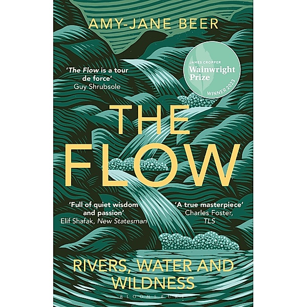 The Flow, Amy-Jane Beer