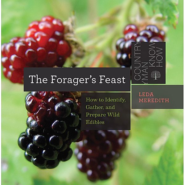 The Forager's Feast: How to Identify, Gather, and Prepare Wild Edibles (Countryman Know How) / Countryman Know How Bd.0, Leda Meredith