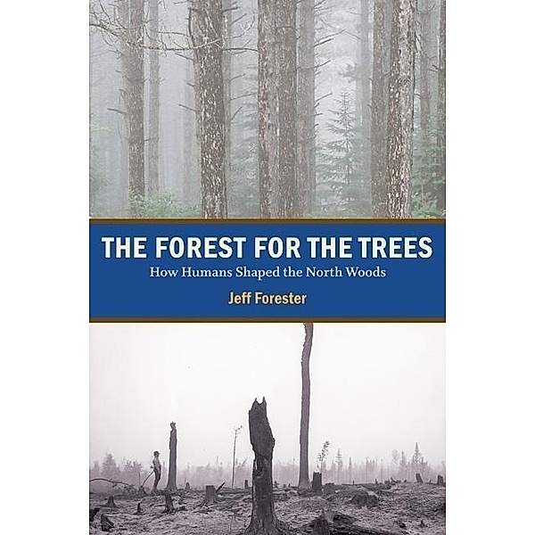 The Forest for the Trees, Jeff Forester