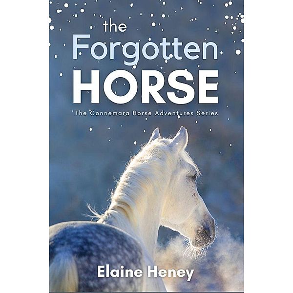 The Forgotten Horse (Connemara Horse Adventures, #1) / Connemara Horse Adventures, Elaine Heney
