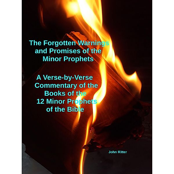 The Forgotten Warnings and Promises of the Minor Prophets A Verse-by-Verse Commentary of the Books of  the 12 Minor Prophets of the Bible, John Ritter