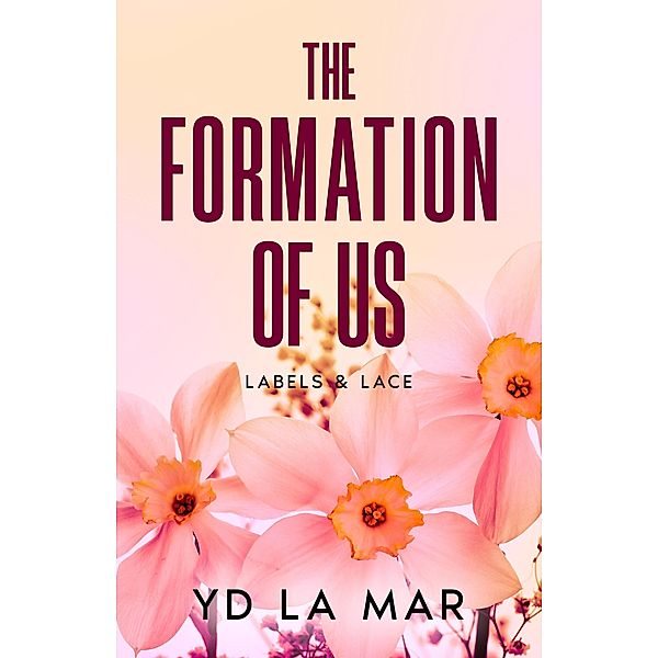 The Formation of Us (Labels & Lace, #1) / Labels & Lace, Yd La Mar