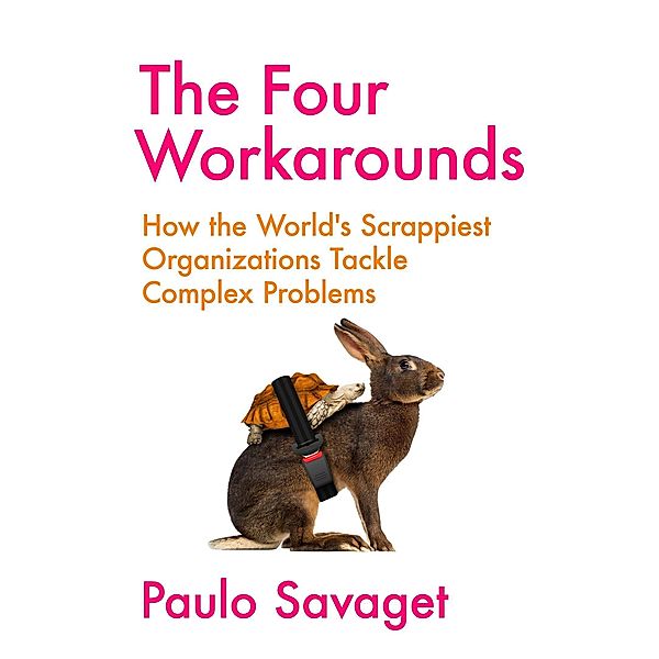 The Four Workarounds, Paulo Savaget