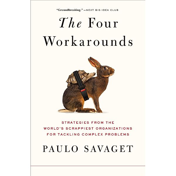 The Four Workarounds, Paulo Savaget