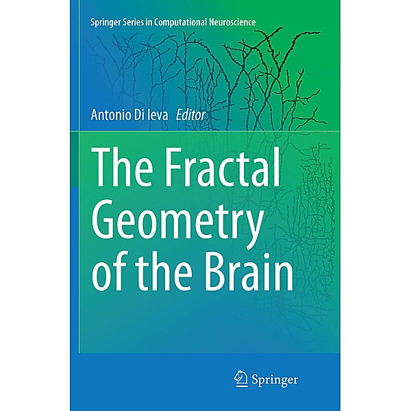 The Fractal Geometry of the Brain