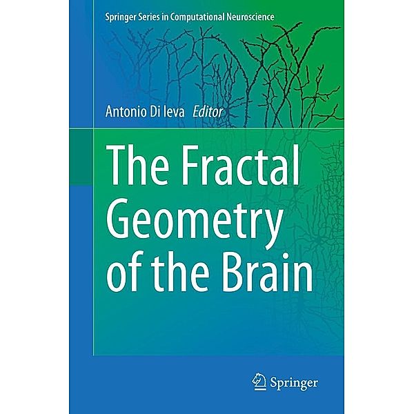 The Fractal Geometry of the Brain / Springer Series in Computational Neuroscience