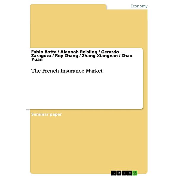 The French Insurance Market, Zhao Yuan, Gerardo Zaragoza, Alannah Reisling, Fabio Botta, Zhang Xiangnan, Roy Zhang