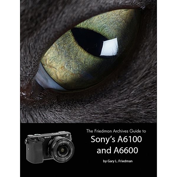 The Friedman Archives Guide to Sony's Alpha 6100 and 6600, Gary L. Friedman