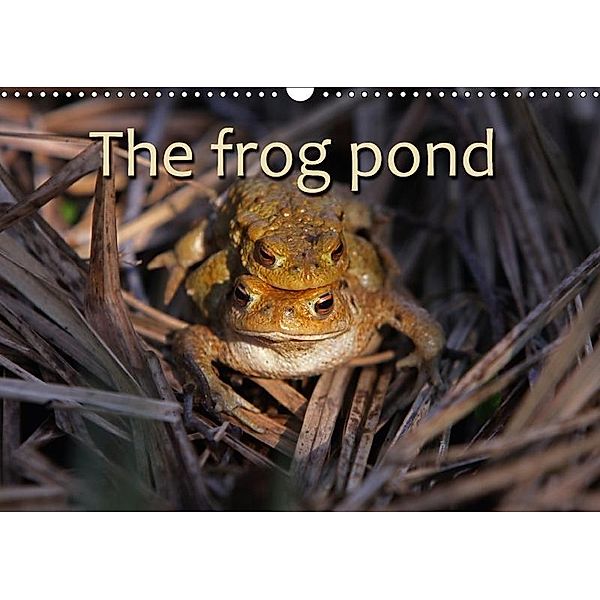 The Frog Pond / UK-Version (Wall Calendar 2017 DIN A3 Landscape), Martina Berg