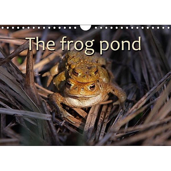 The Frog Pond / UK-Version (Wall Calendar 2017 DIN A4 Landscape), Martina Berg