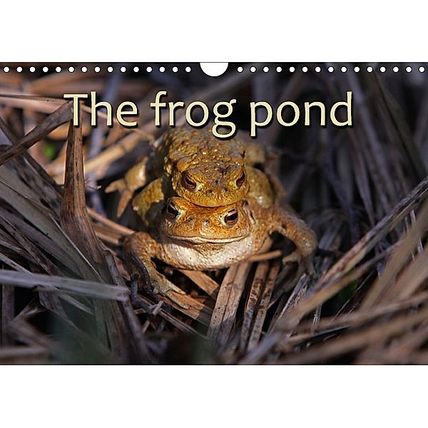 The Frog Pond / UK-Version (Wall Calendar 2018 DIN A4 Landscape), Martina Berg