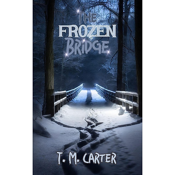 The Frozen Bridge (A Detective Rooks Series, #1) / A Detective Rooks Series, Takara M. James, Takara M. Carter Mpr