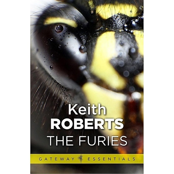 The Furies / Gateway Essentials Bd.111, Keith Roberts
