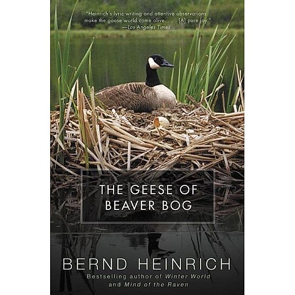 The Geese of Beaver Bog, Bernd Heinrich