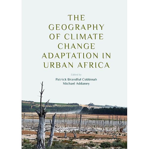 The Geography of Climate Change Adaptation in Urban Africa / Progress in Mathematics