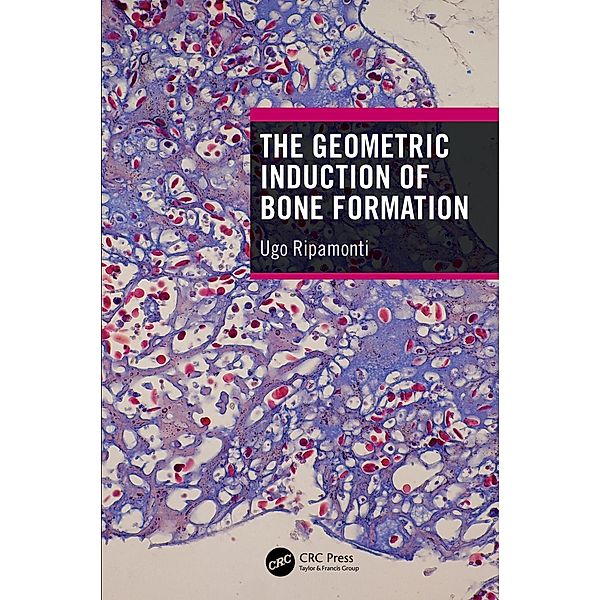 The Geometric Induction of Bone Formation, Ugo Ripamonti