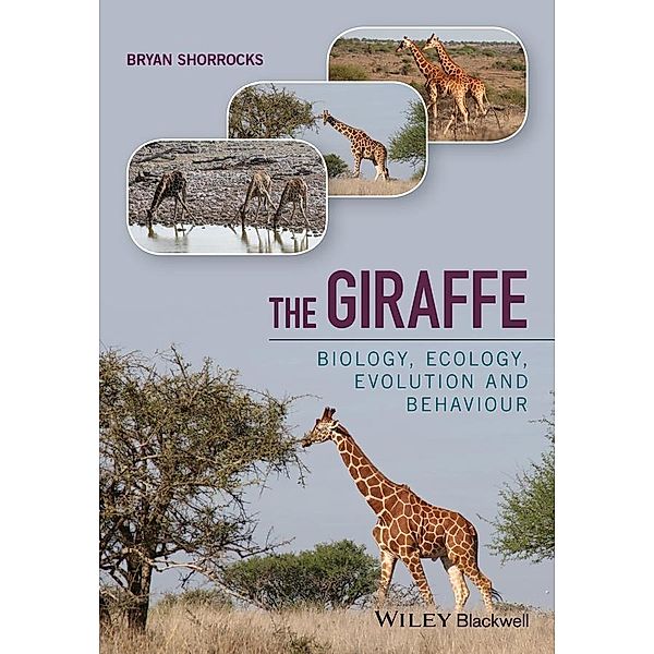 The Giraffe, Bryan Shorrocks