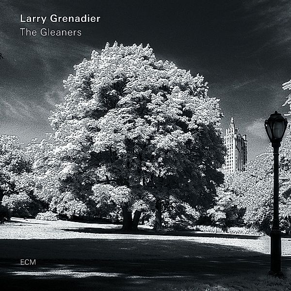 The Gleaners (Vinyl), Larry Grenadier