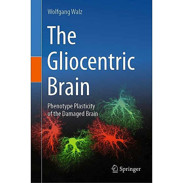 The Gliocentric Brain, Wolfgang Walz