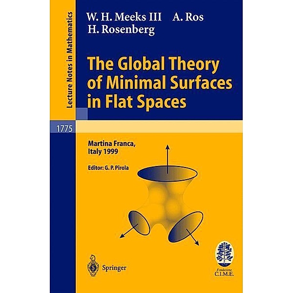 The Global Theory of Minimal Surfaces in Flat Spaces, W. H. Meeks, A. Ros, H. Rosenberg