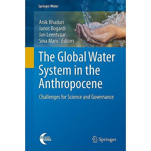 The Global Water System in the Anthropocene