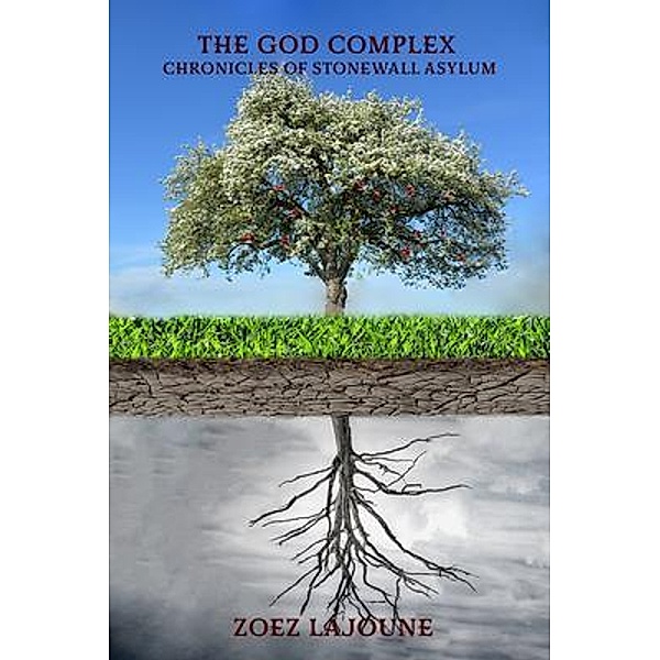 The God Complex / Widow Maker Series Bd.4, Zoez Lajoune
