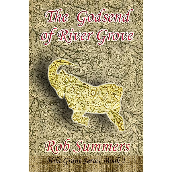 The Godsend of River Grove (Hila Grant, #1) / Hila Grant, Rob Summers