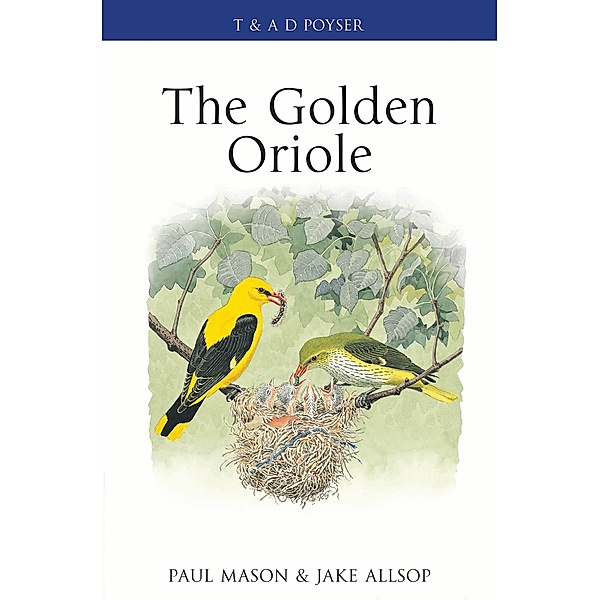 The Golden Oriole, Paul Mason, Jake Allsop