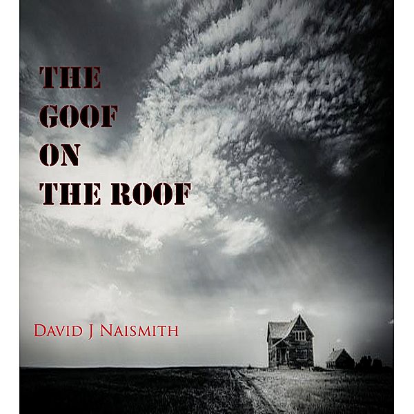 The Goof on the Roof, David Naismith