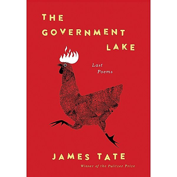 The Government Lake, James Tate