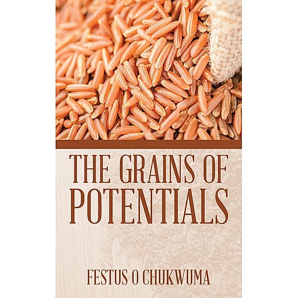 The Grains of Potentials, Festus O Chukwuma