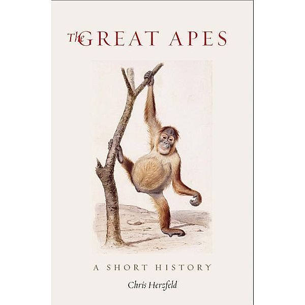 The Great Apes, Chris Herzfeld