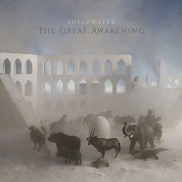 THE GREAT AWAKENING, Shearwater