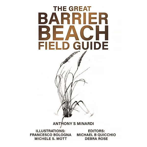 The Great Barrier Beach / Coffee Press, Inc., Anthony Minardi