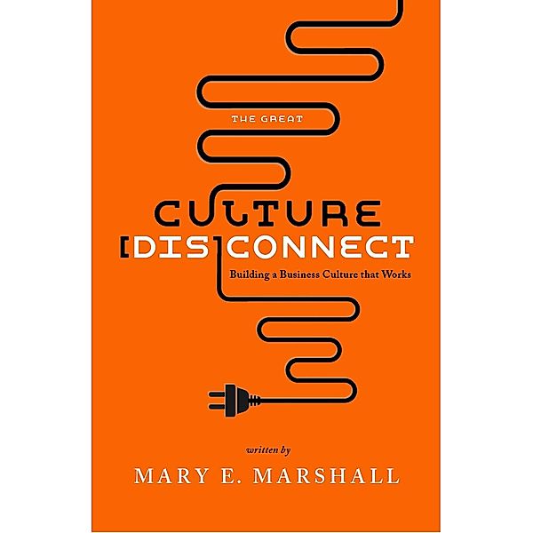 The Great Culture [Dis]Connect, Mary Marshall