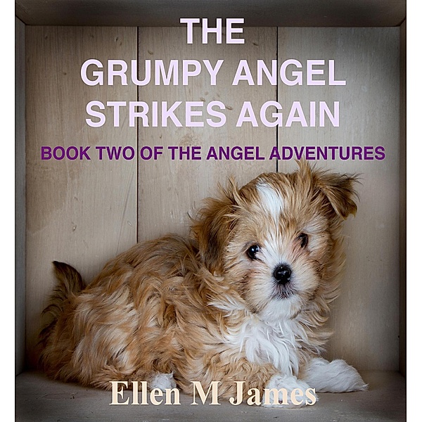 The Grumpy Angel Strikes Again (The Tilly and George Adventures, #2) / The Tilly and George Adventures, Ellen M James